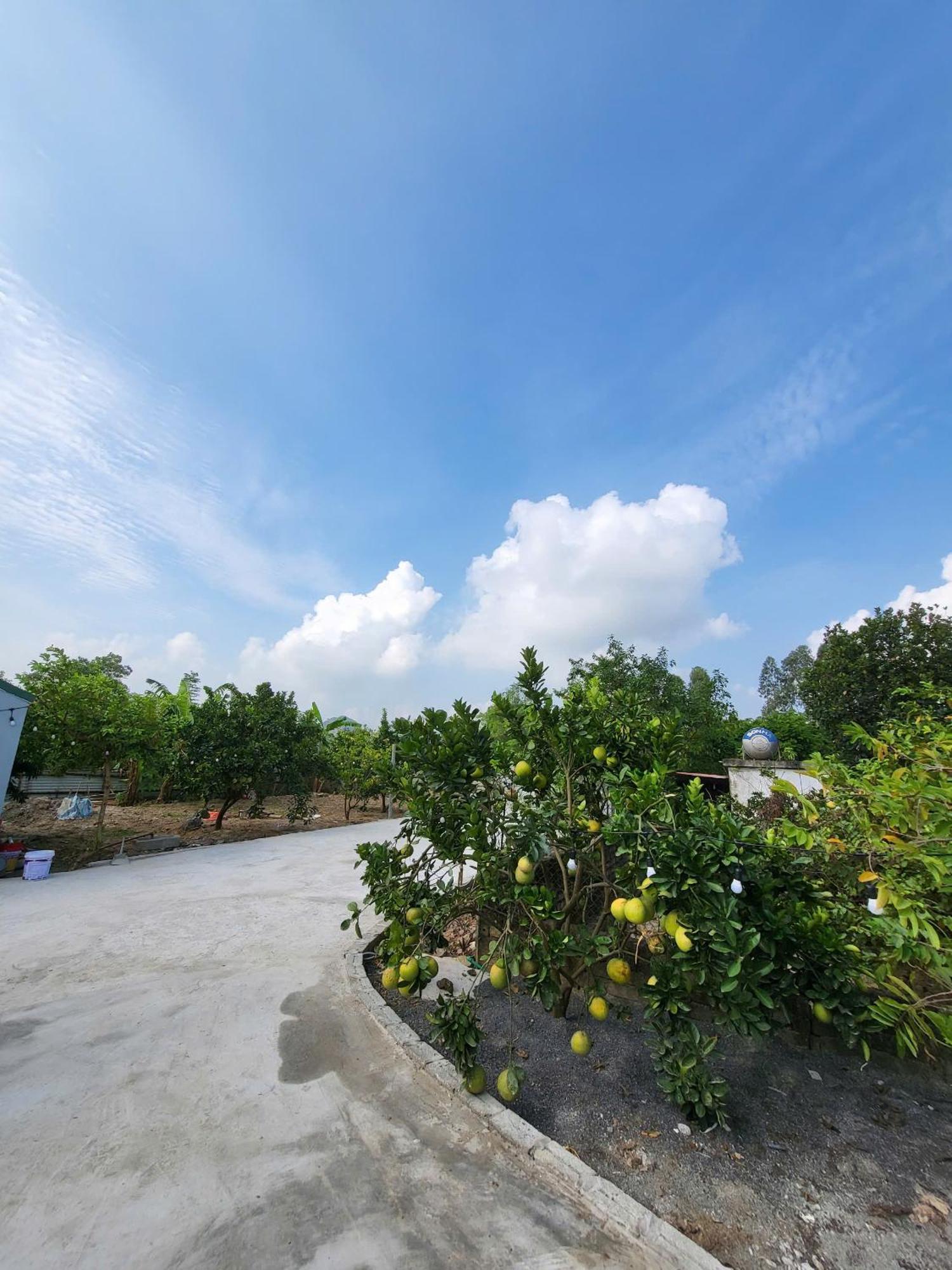 Tam Coc Pomelo Garden Apartment Ninh Binh Exterior foto